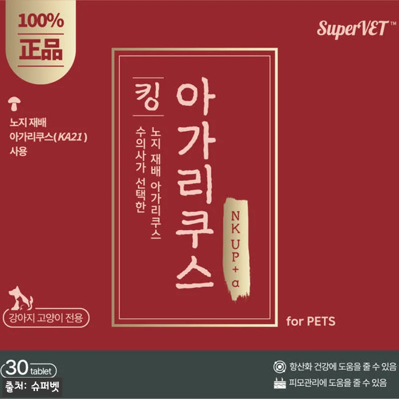 슈퍼벳 킹 아가리쿠스 강아지 고양이 관련 이미지 1
