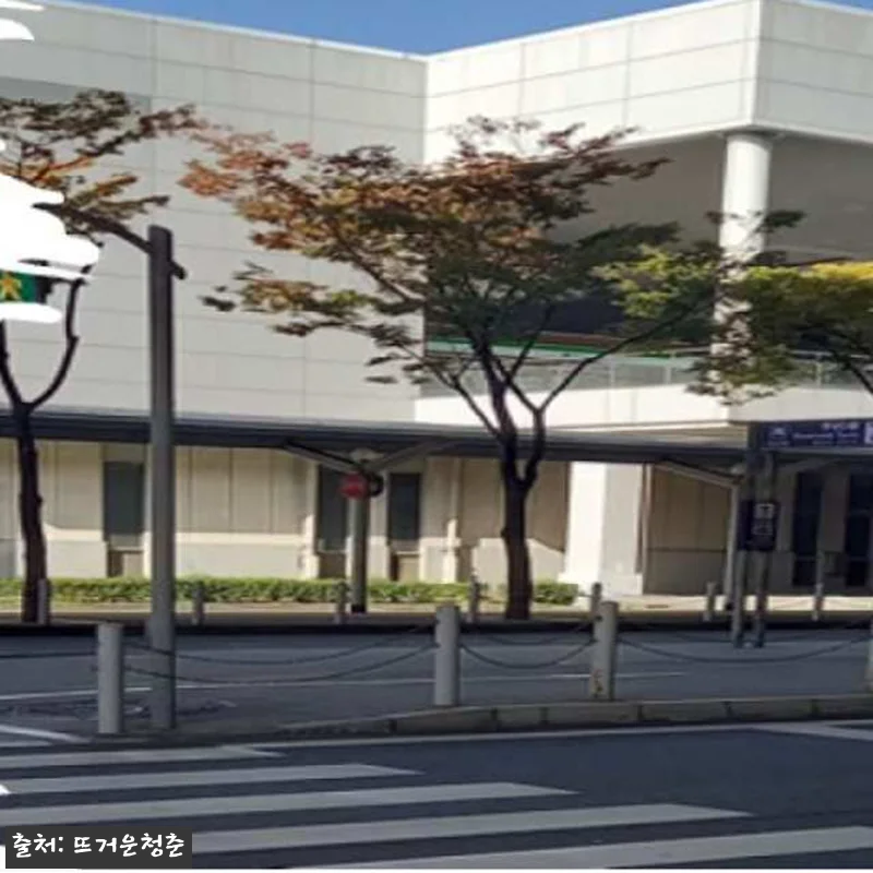 일본 간사이 국제공항 택시 서비스 T 관련 이미지 1