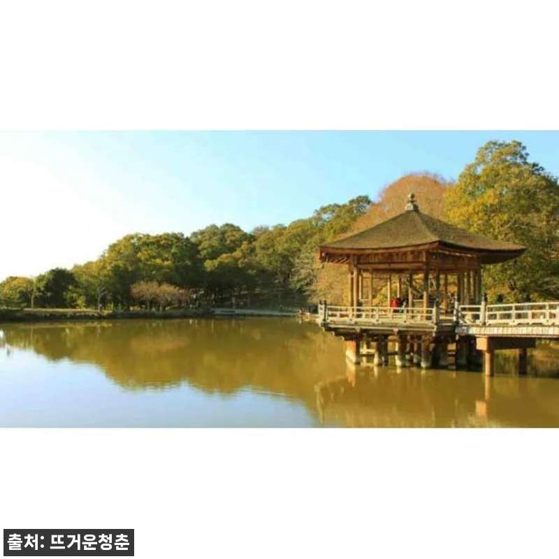 일본 나라 자연의 심장 사원, 숲 및 관련 이미지 1
