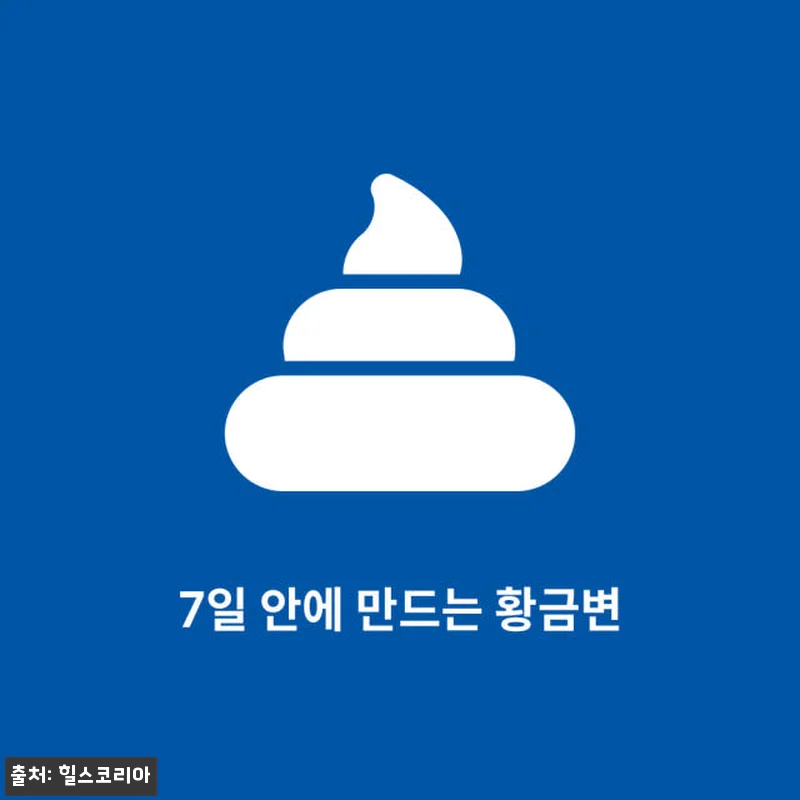 힐스 강아지사료 어덜트 퍼펙트 다이제 관련 이미지 1