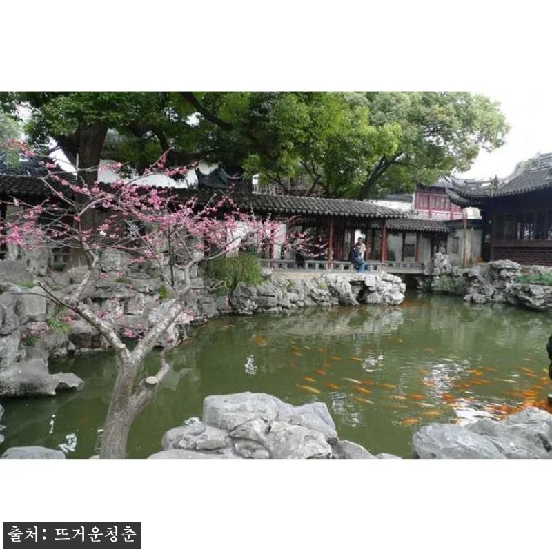 중국 상하이 3.5시간 올드 상하이 관련 이미지 1