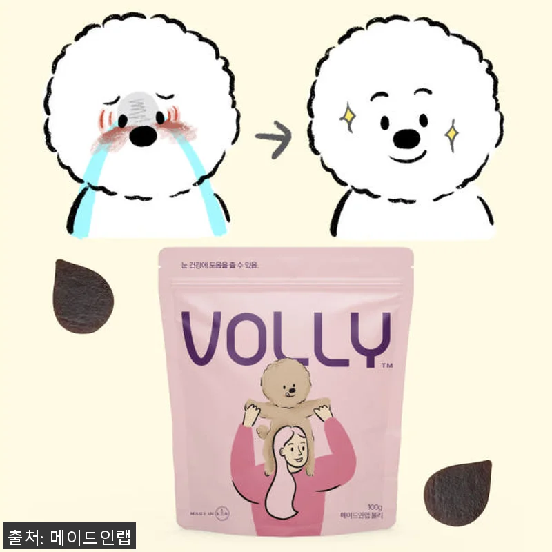 강아지 눈영양제와 관절영양제 세트 사 관련 이미지 2