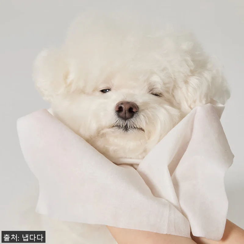 냅다다 강아지물티슈 고양이물티슈 사용 관련 이미지 2