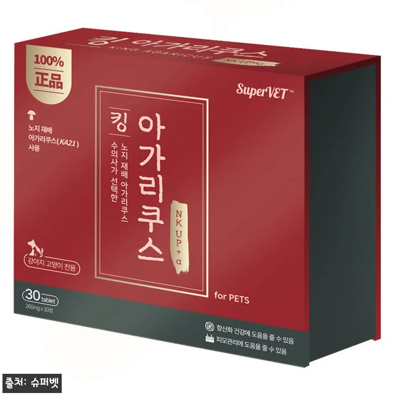 슈퍼벳 킹 아가리쿠스 강아지 고양이 관련 이미지 2