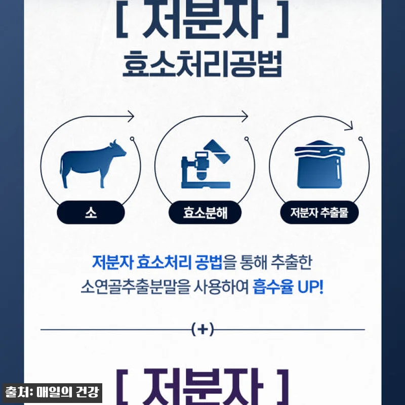 심플리잇 저분자 철갑상어 콘드로이친 관련 이미지 2