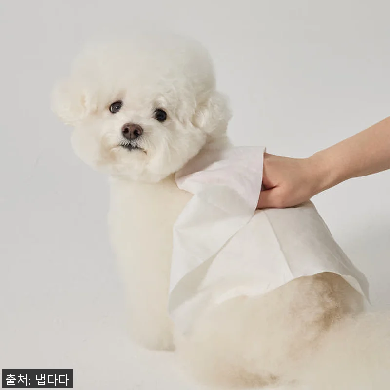 냅다다 강아지물티슈 고양이물티슈 사용 관련 이미지 3