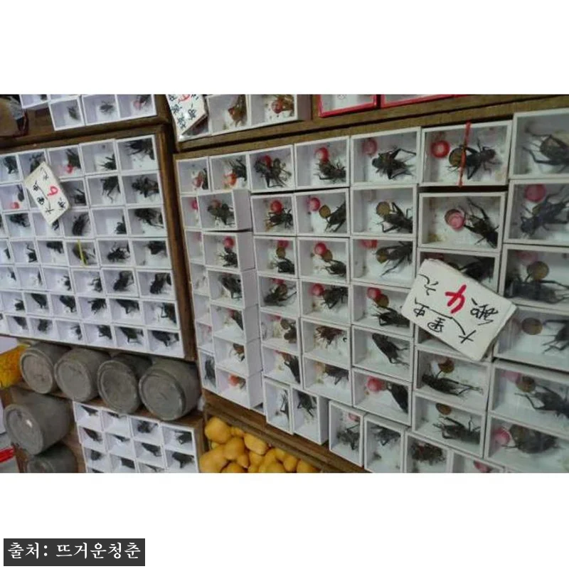 중국 상하이 3.5시간 올드 상하이 관련 이미지 3