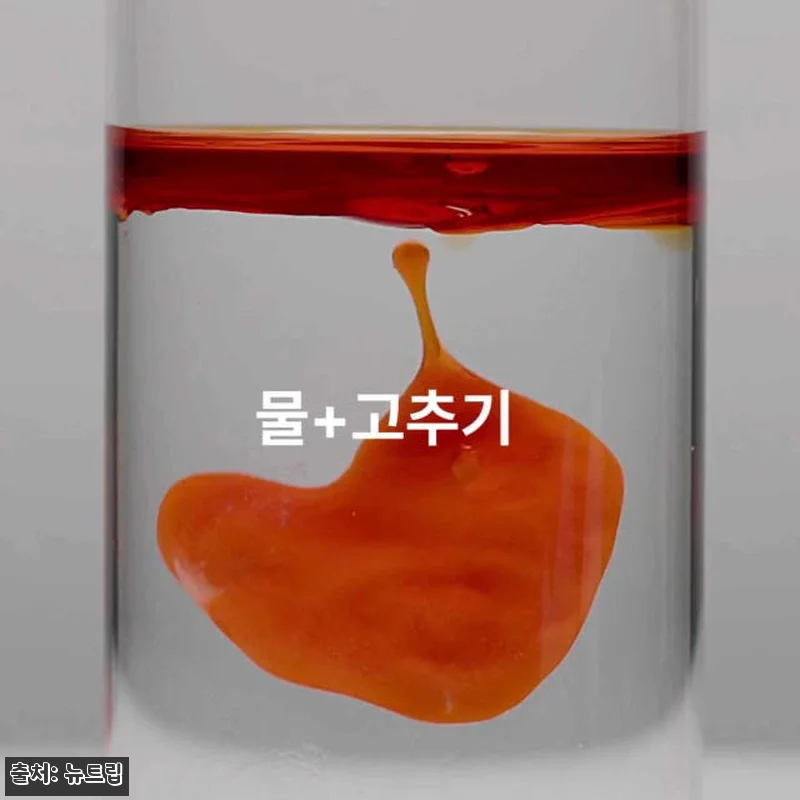 뉴트립 알파CD 파인핏 14포 사용 관련 이미지 4