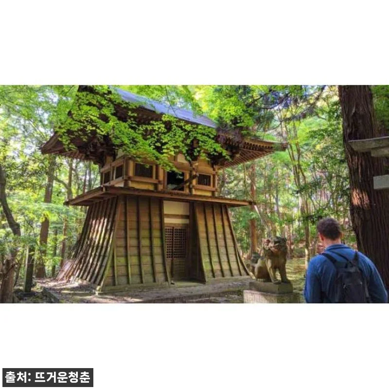 일본 나라 자연의 심장 사원, 숲 및 관련 이미지 4