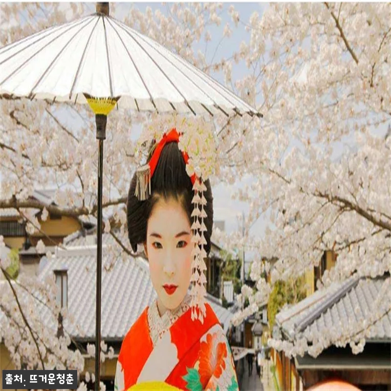 일본 교토 어린이 마이코체험 + 스튜 관련 이미지 4