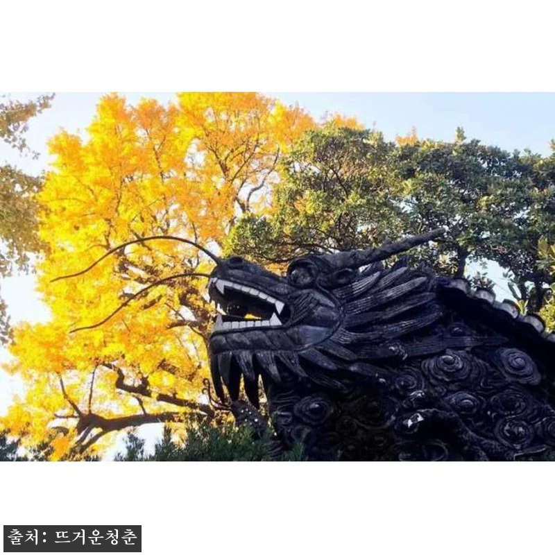 중국 상하이 3.5시간 올드 상하이 관련 이미지 4