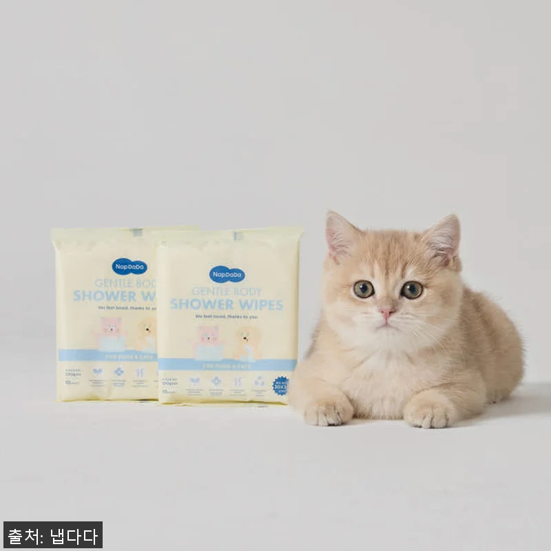 냅다다 강아지물티슈 고양이물티슈 사용 관련 이미지 5