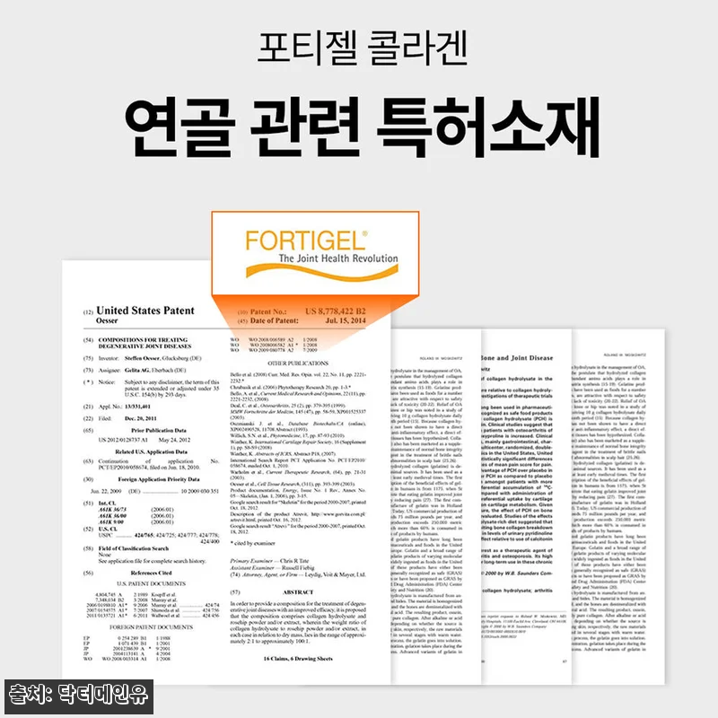 닥터메인유 철갑상어 콘드로이친 보스웰 관련 이미지 6