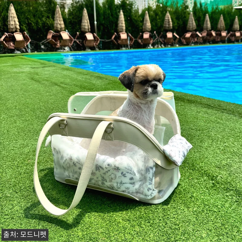 강아지가방 메쉬 숄더백 애견 이동가방 관련 이미지 7