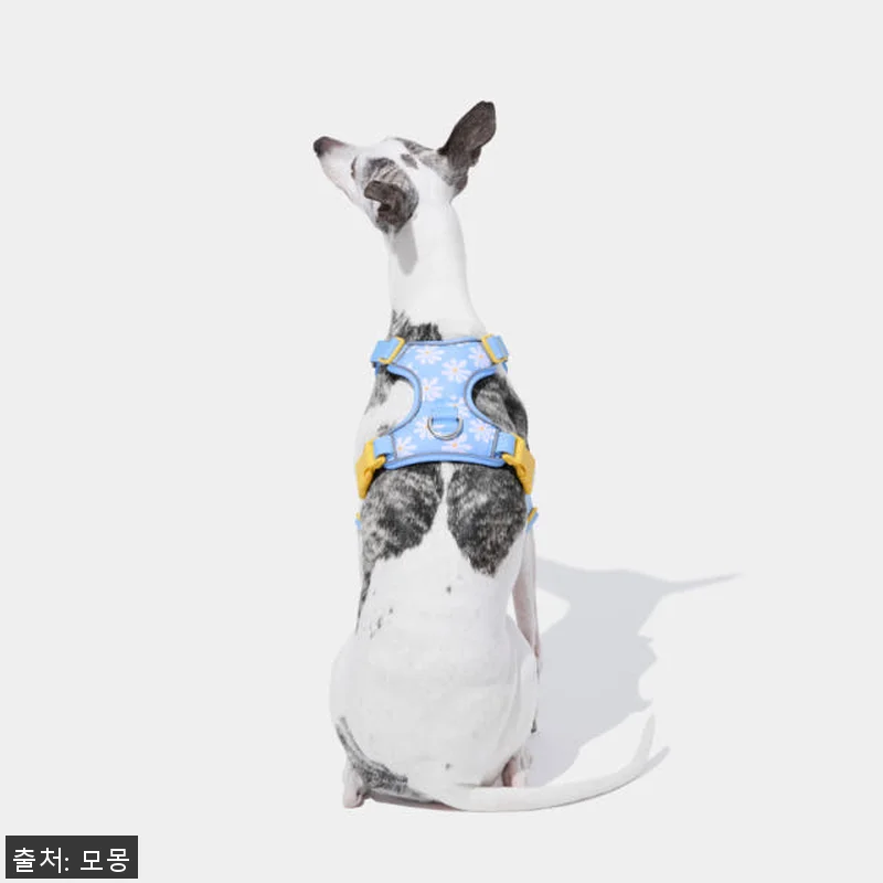 VETRESKA 데이지 강아지 하네스 관련 이미지 8