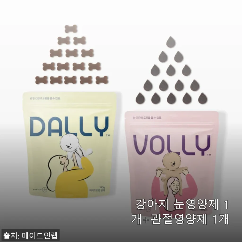 강아지 눈영양제와 관절영양제 세트 사용 후기