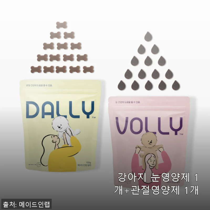 강아지 눈영양제와 관절영양제 세트 사용 후기