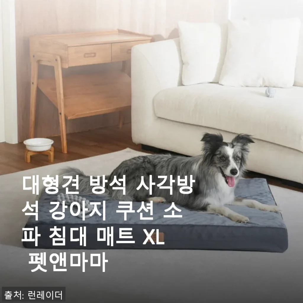 대형견 방석 사각방석 강아지 쿠션 소파 침대 매트 XL 펫앤마마 사용후기