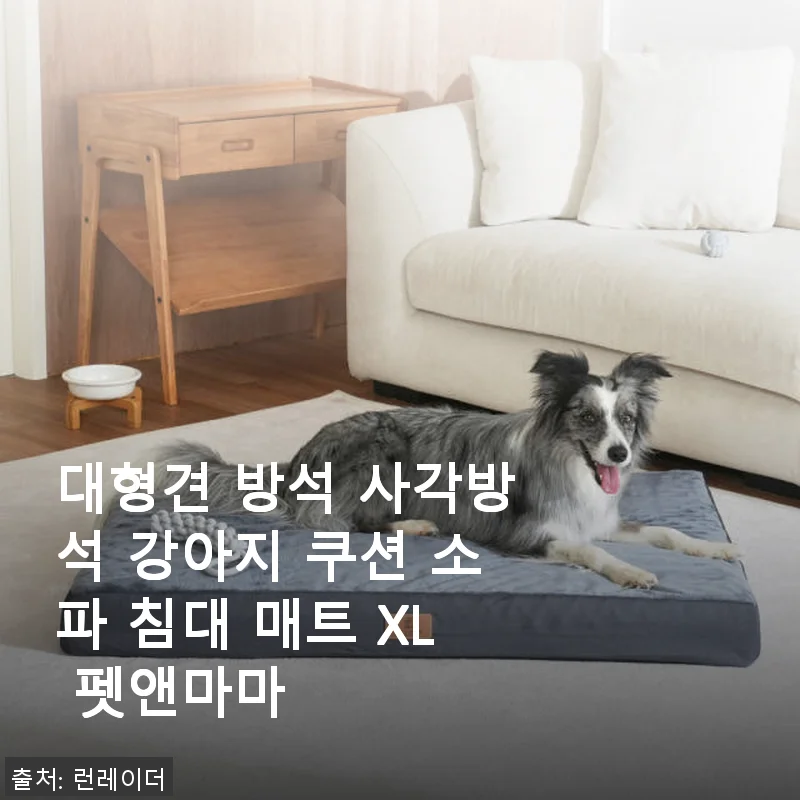 대형견 방석 사각방석 강아지 쿠션 소파 침대 매트 XL 펫앤마마 사용후기