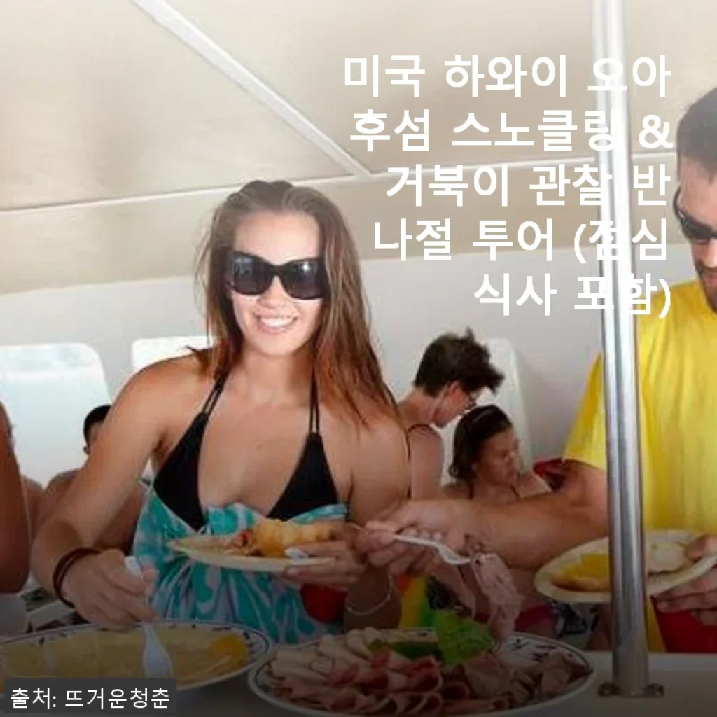 하와이 오아후섬 스노클링 & 거북이 관찰 투어, 직접 경험한 생생 후기