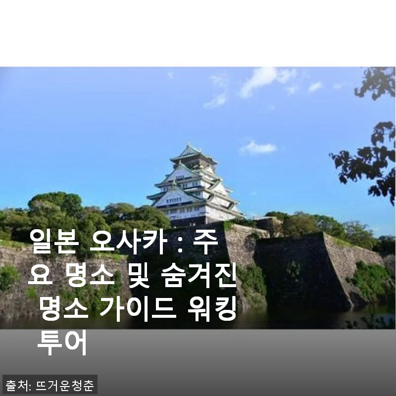 일본 오사카 워킹 투어 체험 후기: 주요 명소와 숨겨진 장소를 한눈에