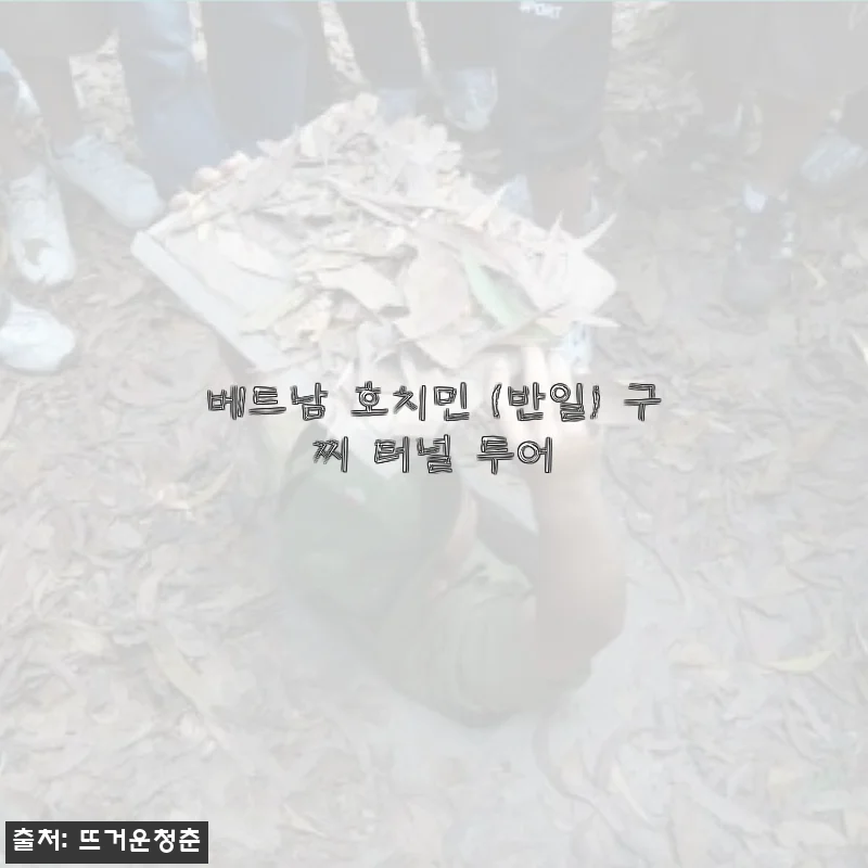 베트남 호치민 반일 구찌 터널 투어 사용후기