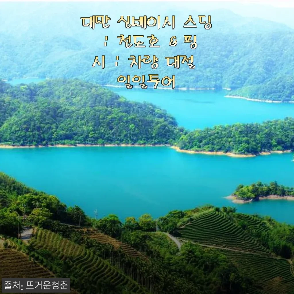 대만 신베이시 스딩 천도호 & 핑시 차량 대절 일일투어 사용후기