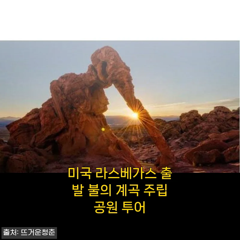 미국 라스베가스 출발 불의 계곡 주립공원 투어 사용후기
