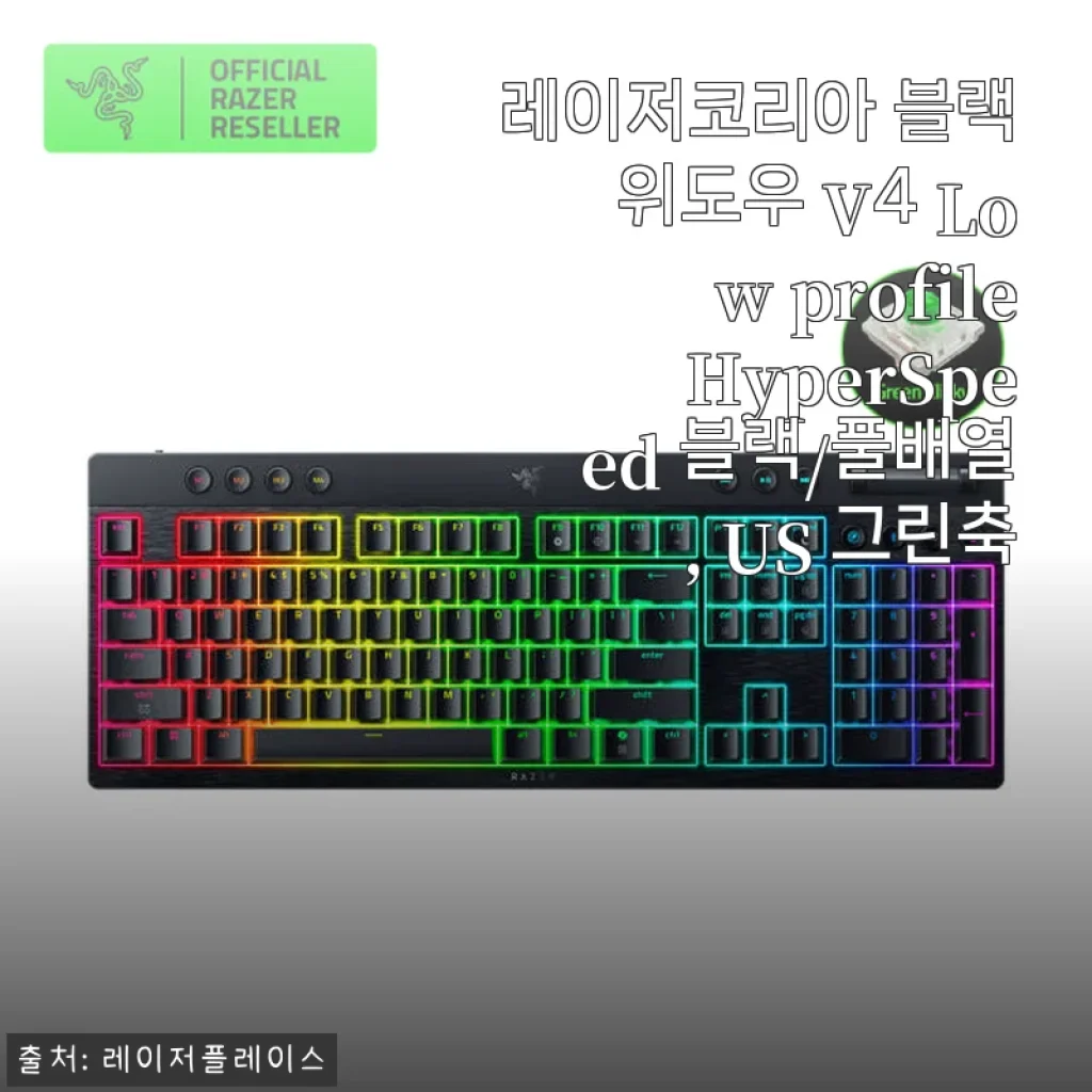 레이저코리아 블랙위도우 V4 Low profile HyperSpeed 사용후기 및 제품소개