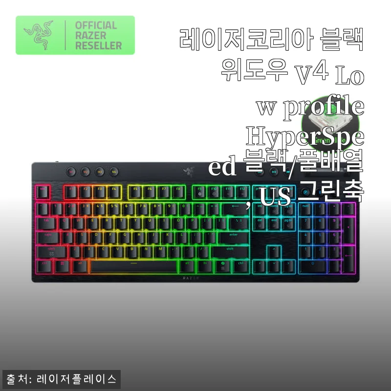 레이저코리아 블랙위도우 V4 Low profile HyperSpeed 사용후기 및 제품소개