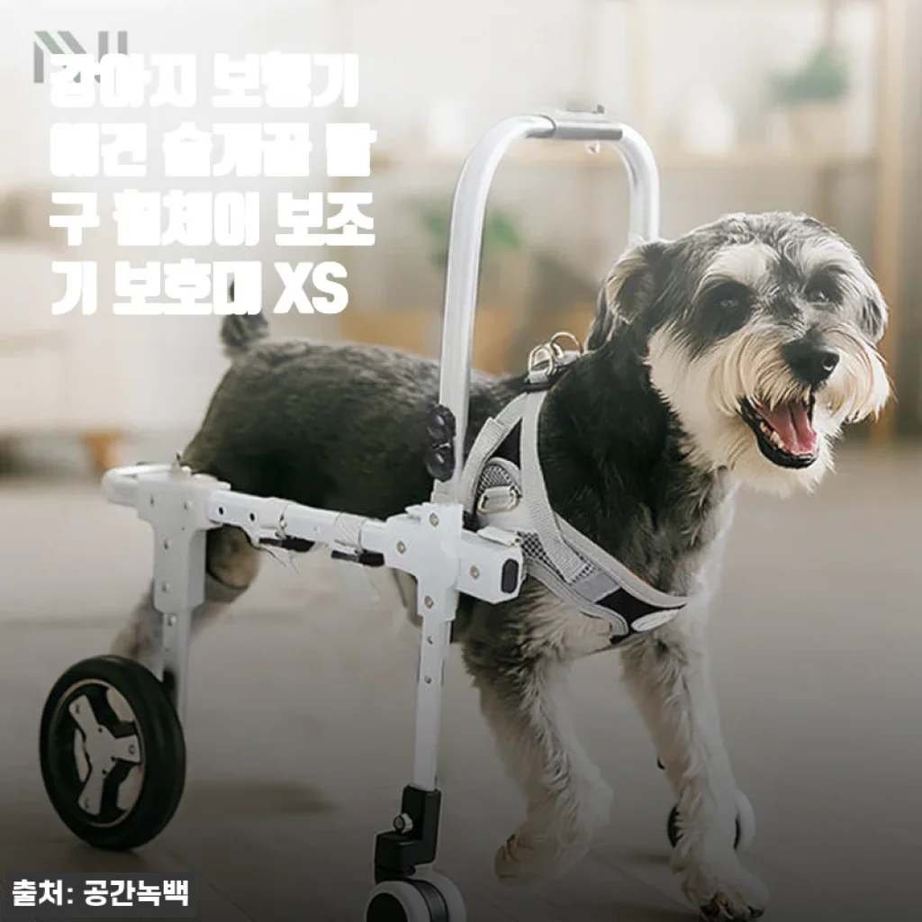 강아지 보행기 애견 슬개골 탈구 휠체어 보조기 보호대 XS 사용후기