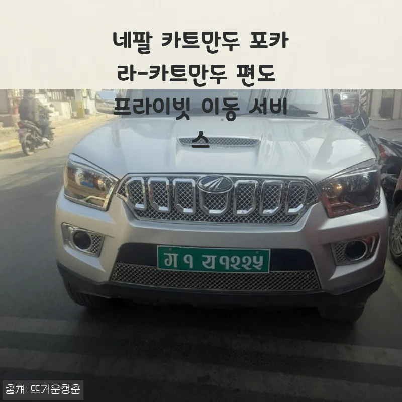 네팔 카트만두 포카라-카트만두 편도 프라이빗 이동 서비스 사용후기