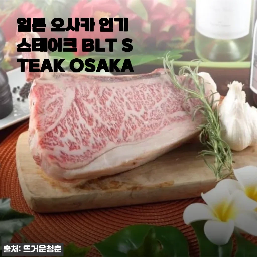 일본 오사카 인기 스테이크 BLT STEAK OSAKA 70% 할인 구매 후기