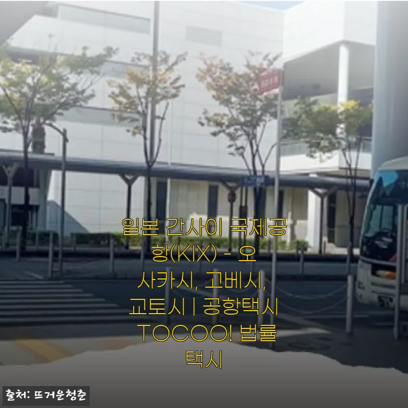 일본 간사이 국제공항 택시 서비스 TOCOO! 사용후기