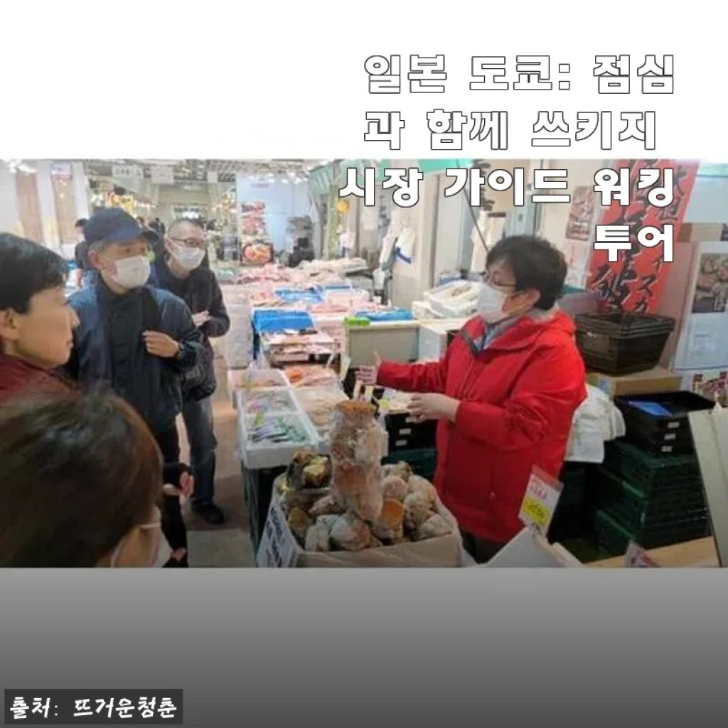 일본 도쿄 쓰키지 시장 가이드 워킹 투어 사용후기