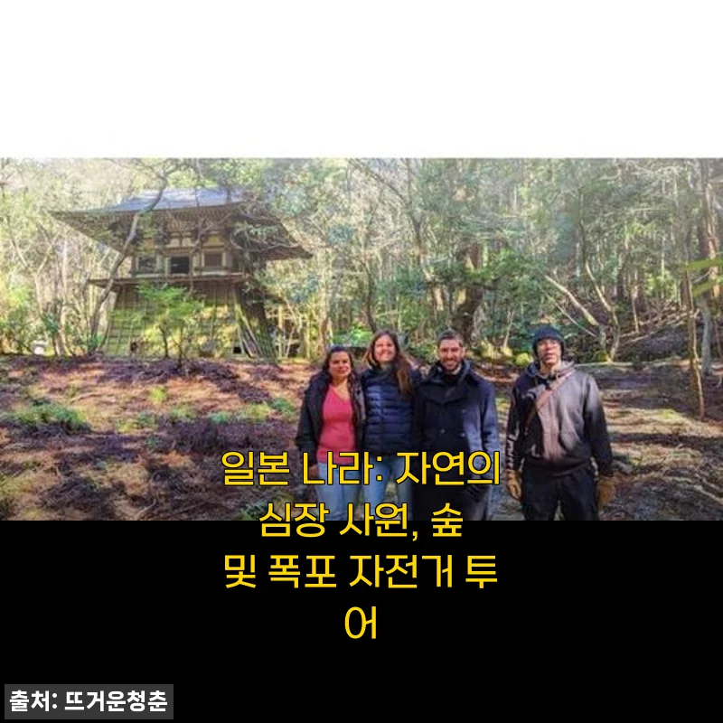 일본 나라 자연의 심장 사원, 숲 및 폭포 자전거 투어 체험 후기