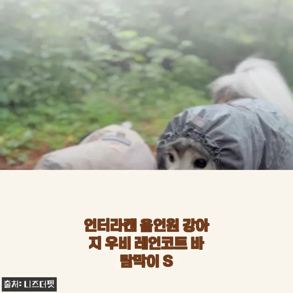 인터라켄 올인원 강아지 우비 레인코트 바람막이 S 사용후기