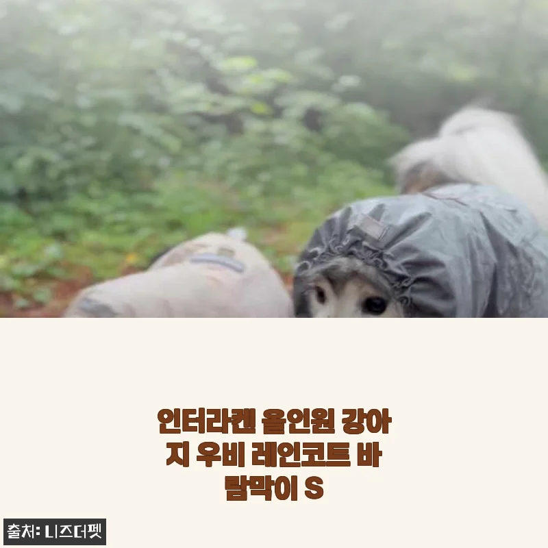 인터라켄 올인원 강아지 우비 레인코트 바람막이 S 사용후기