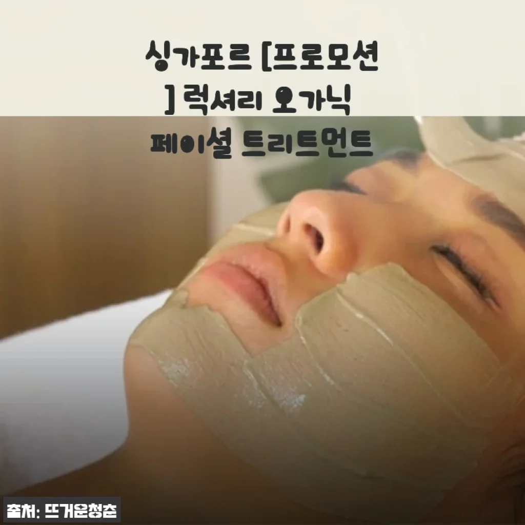 싱가포르 럭셔리 오가닉 페이셜 트리트먼트 사용후기