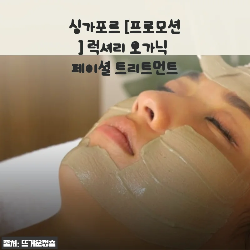 싱가포르 럭셔리 오가닉 페이셜 트리트먼트 사용후기