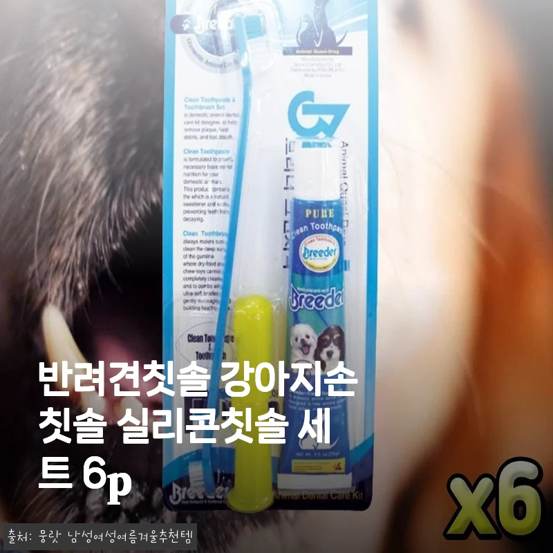 반려견칫솔 강아지손칫솔 실리콘칫솔 세트 6p 사용후기
