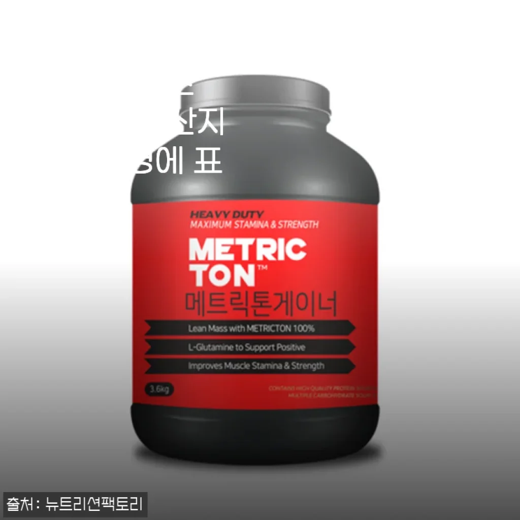 메트릭톤 게이너 단백질 헬스 보충제 사용 후기: 맛과 가성비 모두 만족스러운 선택