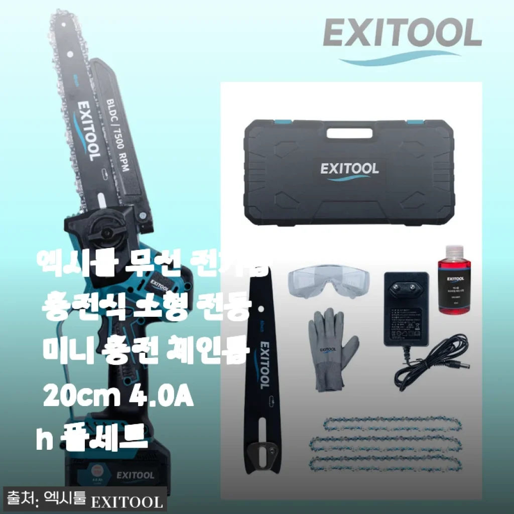 엑시툴 무선 전기톱 20cm 4.0Ah 풀세트 사용후기 - 소형 전동 미니 충전 체인톱 추천
