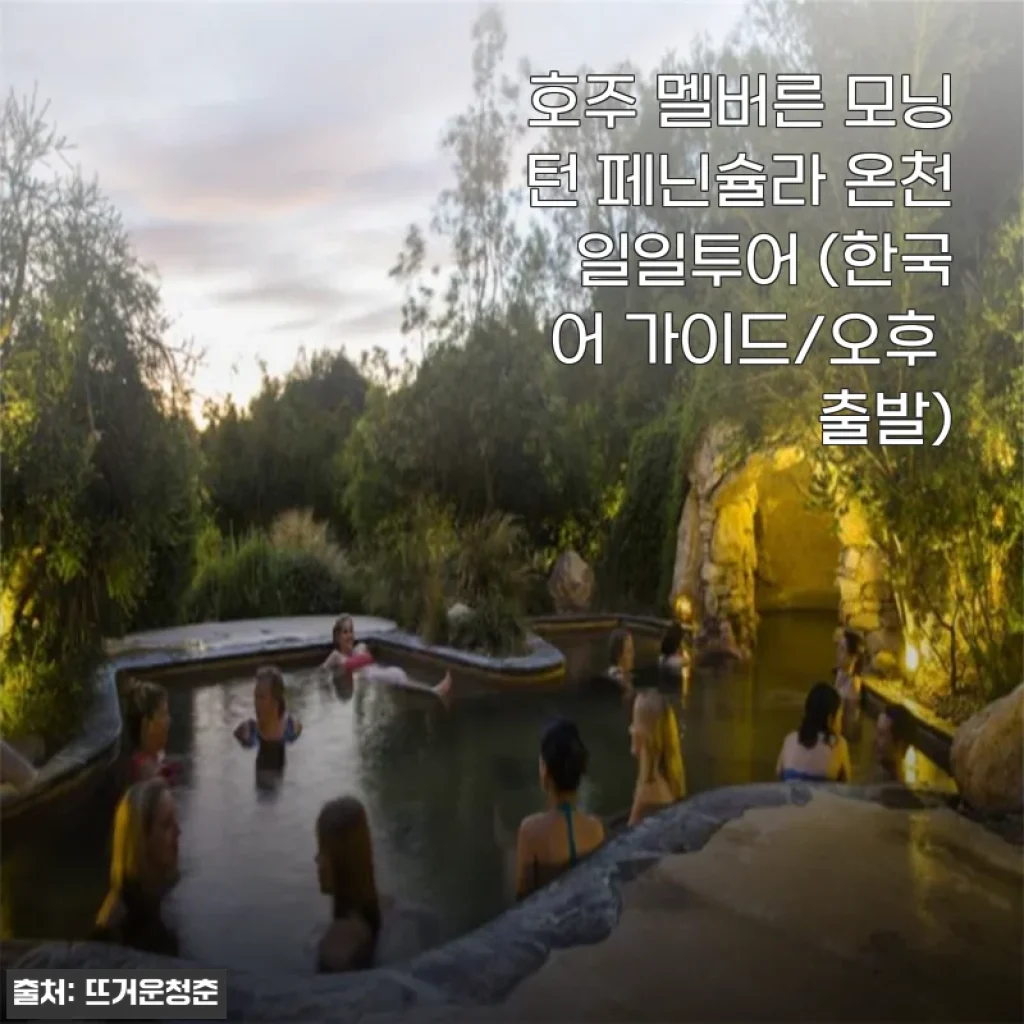 호주 멜버른 모닝턴 페닌슐라 온천 일일투어 한국어 가이드와 함께한 생생 후기