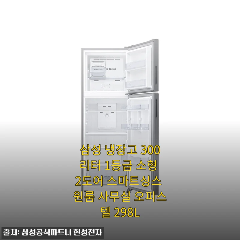삼성 냉장고 300리터 1등급 소형 2도어 스마트싱스 사용후기