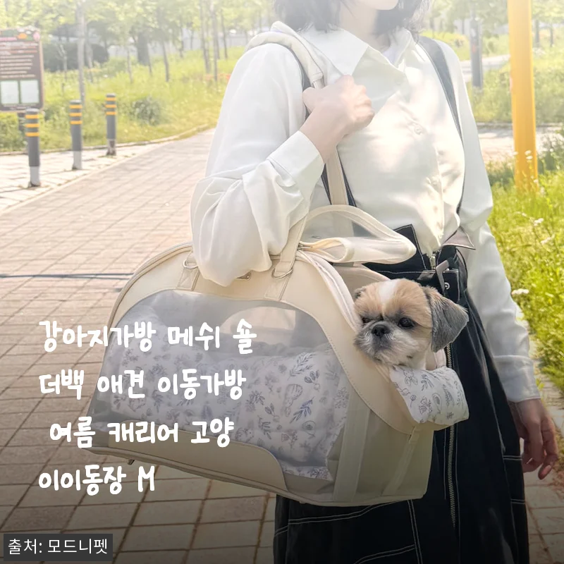 강아지가방 메쉬 숄더백 애견 이동가방 사용후기 - 여름철 반려동물과의 외출 필수품