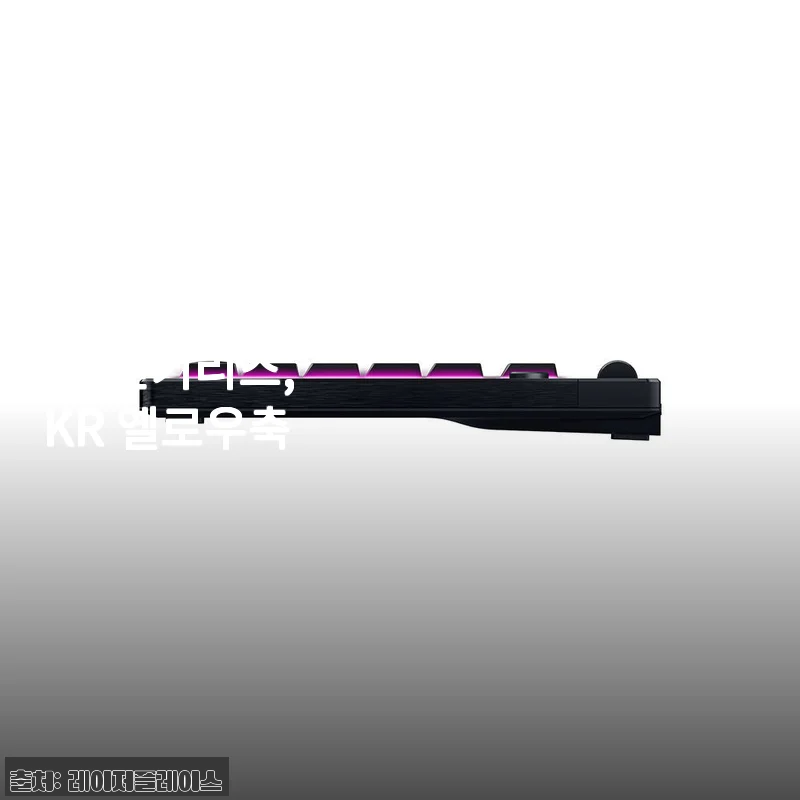 레이저코리아 블랙위도우 V4 Low profile HyperSpeed 사용후기 - 텐키리스 옐로우축의 매력