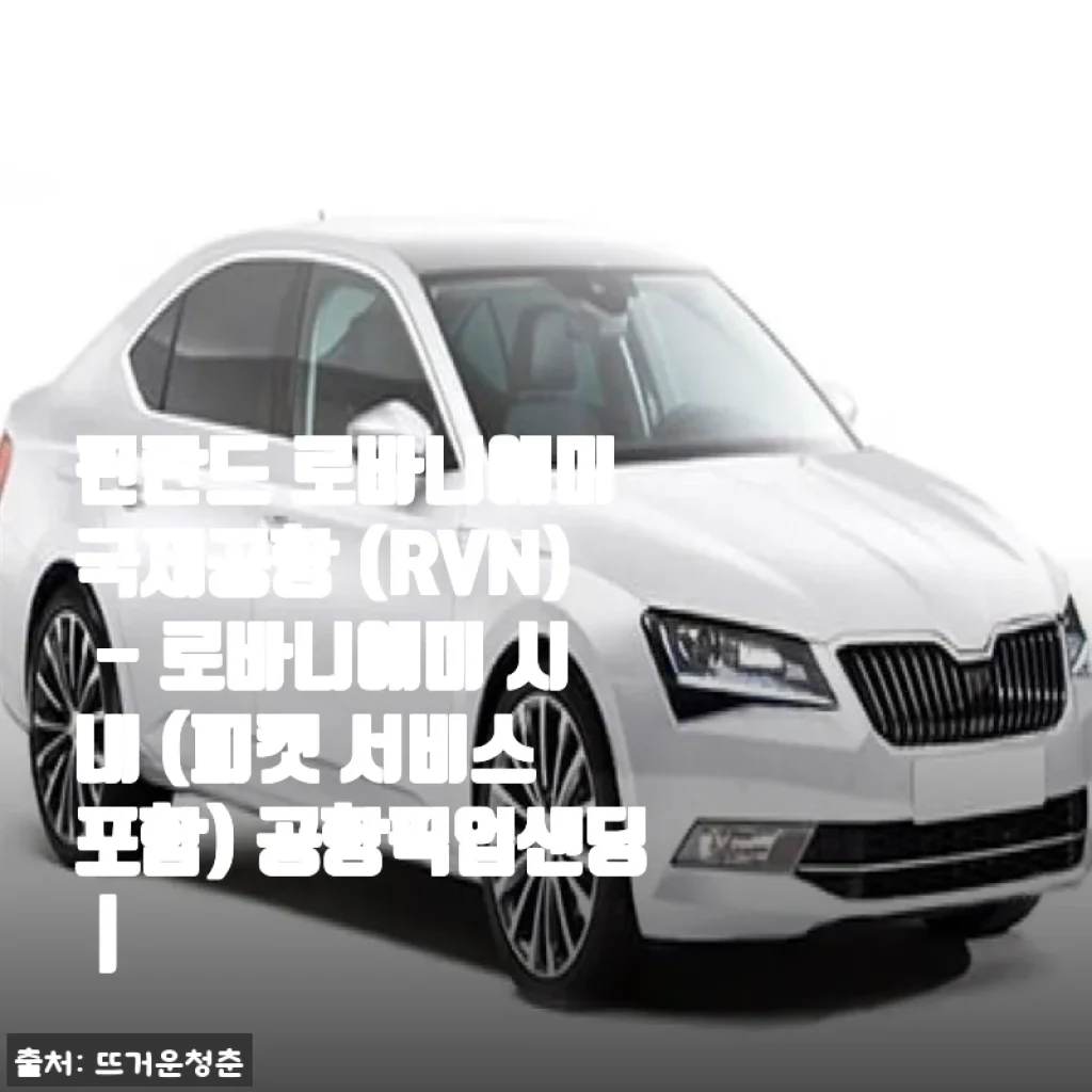 핀란드 로바니에미 국제공항 픽업샌딩 서비스 사용후기