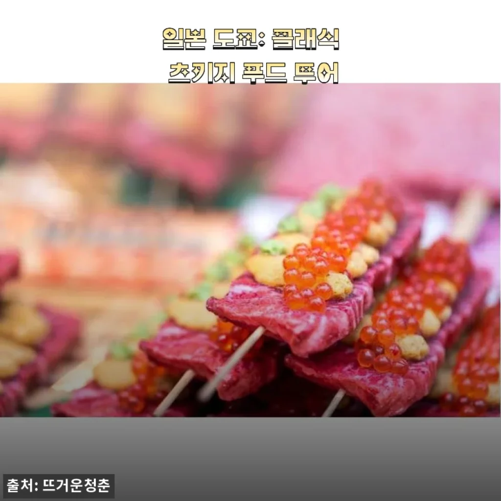일본 도쿄 클래식 츠키지 푸드 투어 체험 후기