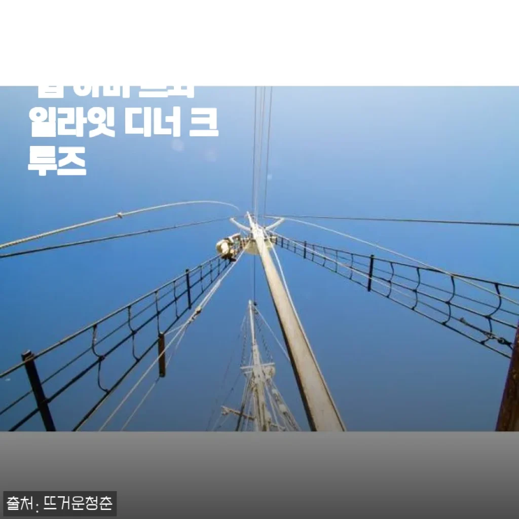 호주 시드니 톨 쉽 하버 트와일라잇 디너 크루즈 사용후기